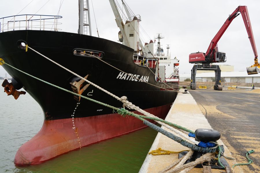 El Puerto de Sevilla estrena una nueva terminal en la dársena del Cuarto