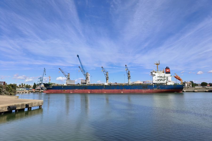 El Puerto de Sevilla recibe al granelero de mayores dimensiones de toda su historia
