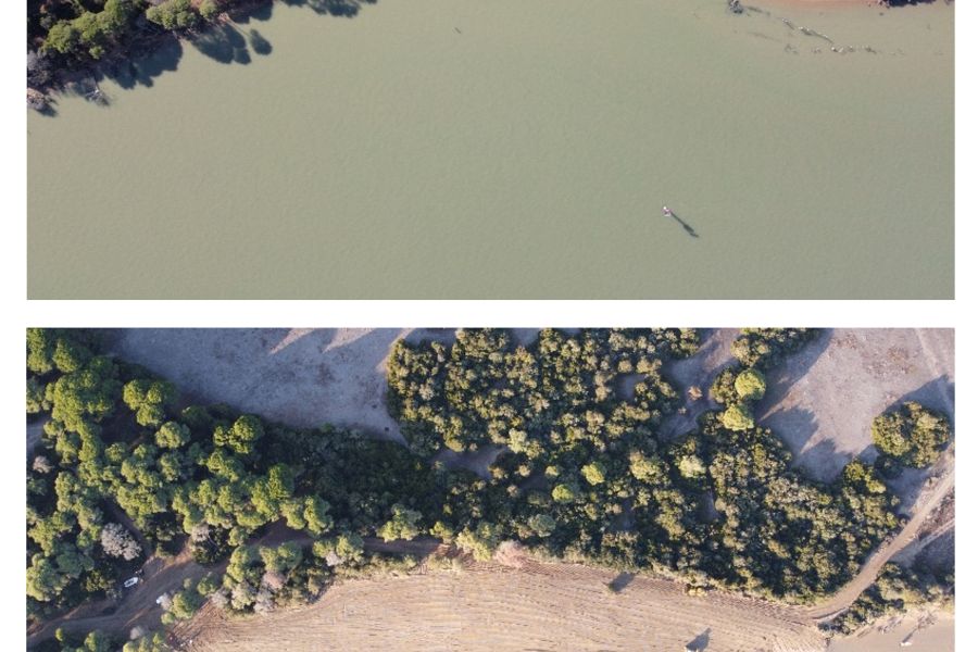 El Puerto de Sevilla regenera el litoral de Doñana con 62.000 m3 de arenas del dragado de mantenimiento