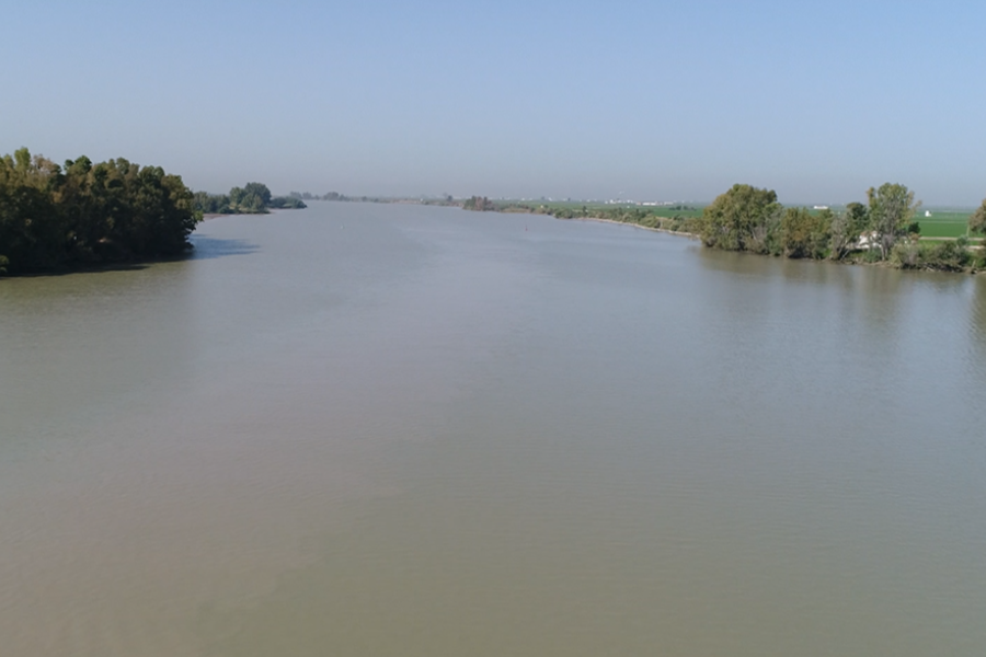 Puerto de Sevilla, CHG e IFAPA impulsan un proyecto para reducir la erosión y la generación de sedimentos en la cuenca del Guadalquivir