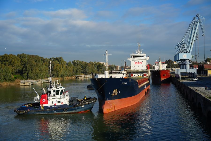 El Puerto de Sevilla arranca 2026 con una alta ocupación de atraques y 18 buques en muelle