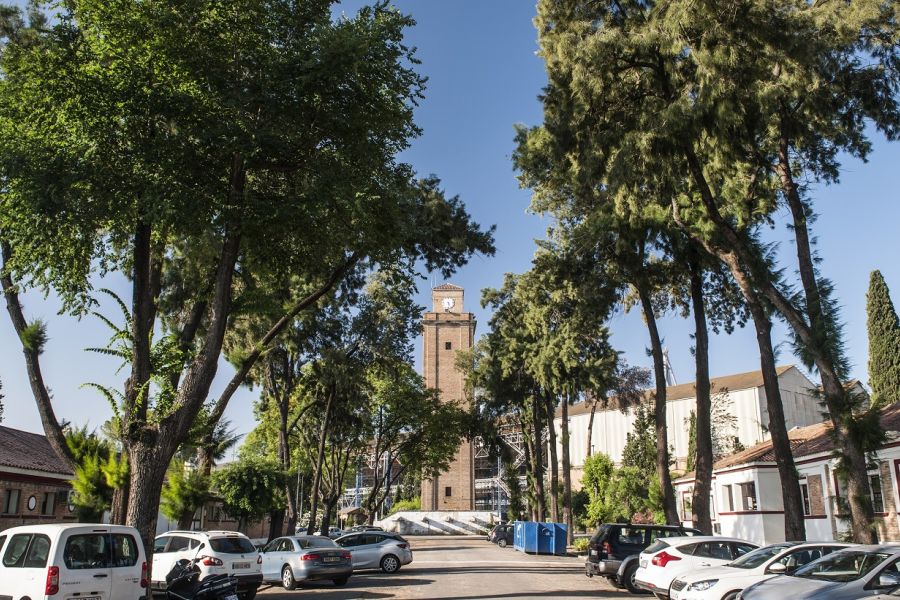 La Autoridad Portuaria de Sevilla aprueba nuevas concesiones en puerto-ciudad y Astilleros